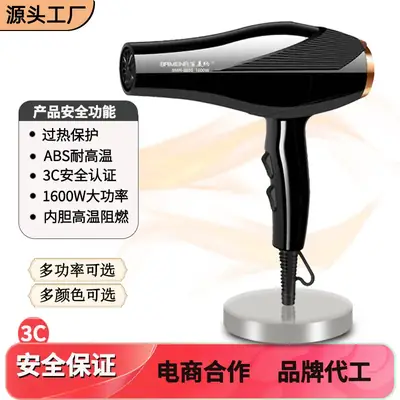 Cross-Border Hair Dryer with Negative Ion & 24H Speed