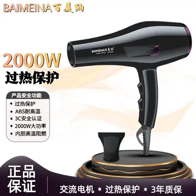 High-Speed Hair Dryer with Negative Ion Technology
