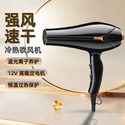 High Power Hair Dryer for Home & Salon Use