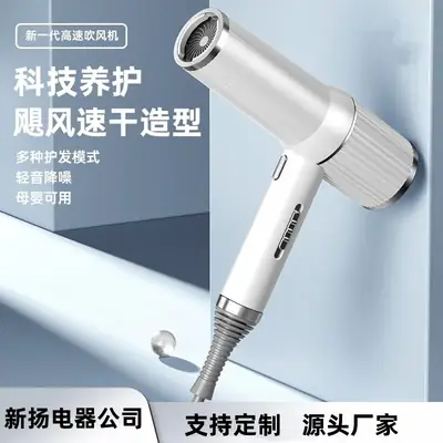European & American Hair Dryer 110V High Power