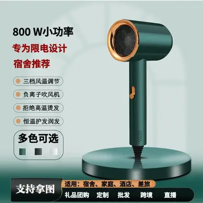 Portable Hair Dryer 800W White 360 Rotating