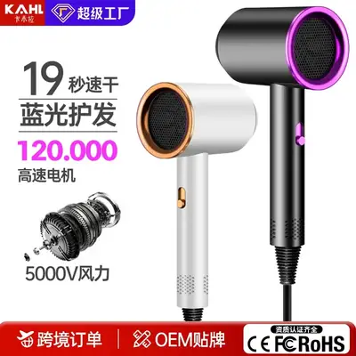 Electric Hair Dryer High Speed Negative Ion 30s