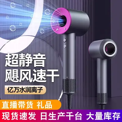 High Speed Negative Ion Hair Dryer for Quick Drying