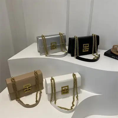 Small Chain Shoulder Bag for Women 2024 Summer