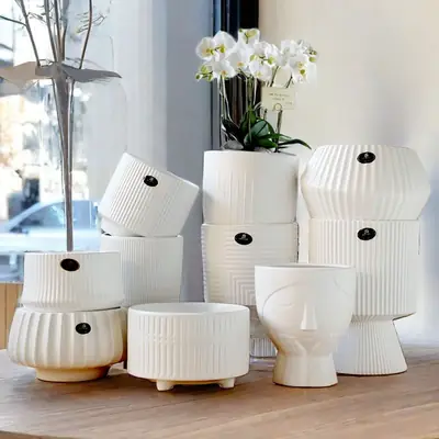 High Color Value Ceramic Flower Pot with Tray White Simple Nordic Ins Style Fleshy Flower Pot Internet Celebrity All-match Home Pot