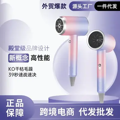 High Power Electric Hair Dryer with Pink Design