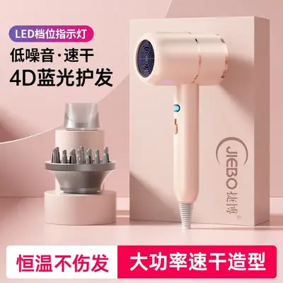 Cross-Border Negative Ion Hair Dryer High Power Salon Portable Brushless High Speed Constant Temp