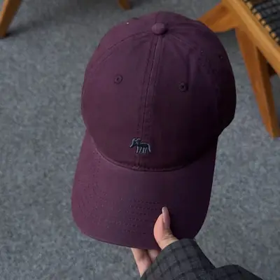 Blue Embroidered Baseball Cap for Men Women