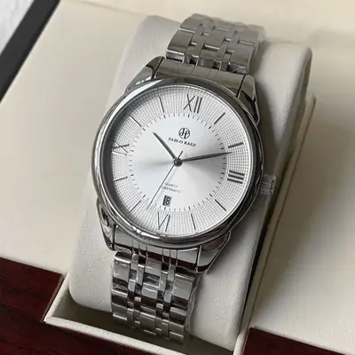 Men's Stainless Steel Quartz Watch with Day/Past Day Function