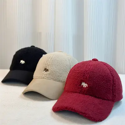 Korean Embroidered Velvet Baseball Cap Women Winter Warm