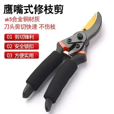 Gardening Scissors Wholesale Fruit Tree Pruning Shears Garden Thick Branch Shears for Cutting Branches Flower Pruning Shears for Picking Fruit