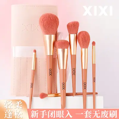 Xixi 11-Piece Makeup Brush Set for Beginners