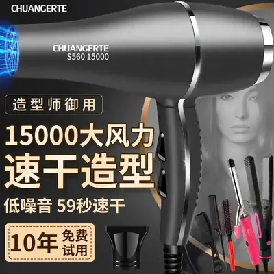 3000W High Power Hair Dryer Blue Light