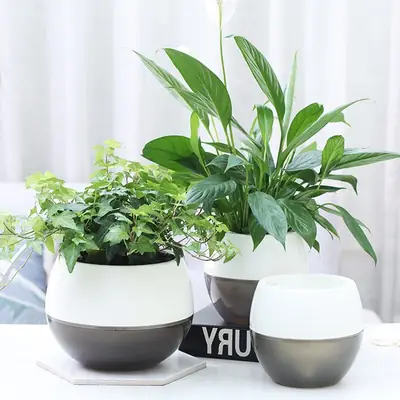 Cross-border in stock Olinze direct round two-color creative plastic flowerpot self-watering self-absorbing lazy flowerpot