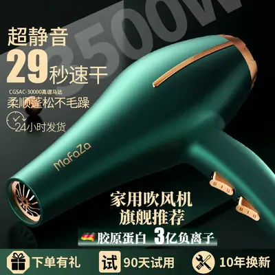 Smart Temp Hair Dryer 57°C Blue Light Salon Use