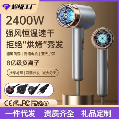 Negative Ion Hair Dryer Fast Dry Portable