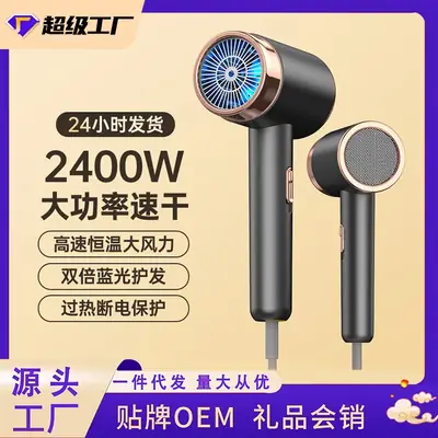 High Power Hair Dryer with Rose Gold Finish
