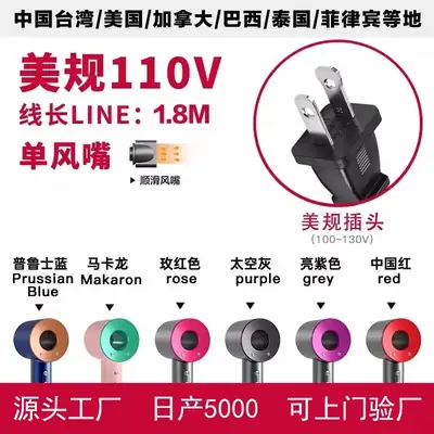 Negative Ion Hair Dryer with Variable Frequency & Large Flow