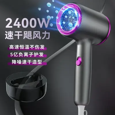 High-Speed Hair Dryer with Negative Ion & Quick Dry