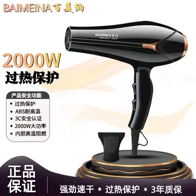High Wind Hair Dryer with Negative Ion Technology