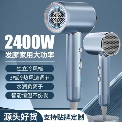 Blue Light Hair Dryer with Strong Wind & Fast Dry
