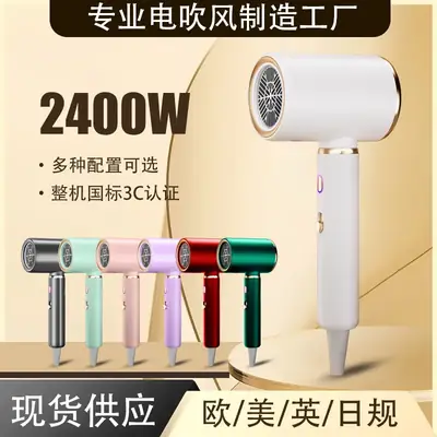 High Power Hair Dryer with 4D Blue Light & 2400W Motor