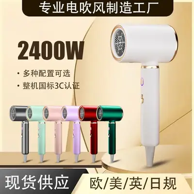 2400W Negative Ion Hair Dryer for Home Salon Use