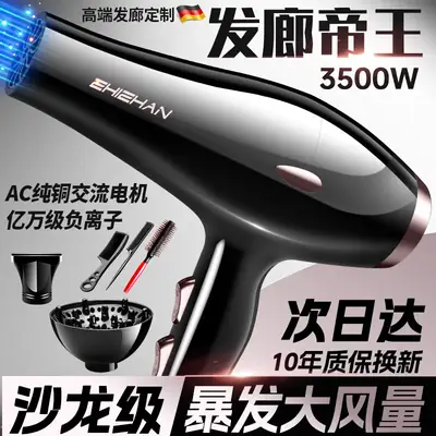 German Hair Dryer 3000W Blue Light Negative Ion