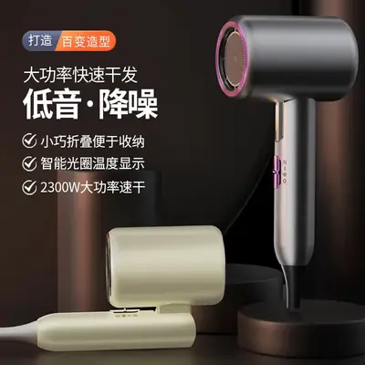 Portable Hair Dryer with Negative Ion Technology