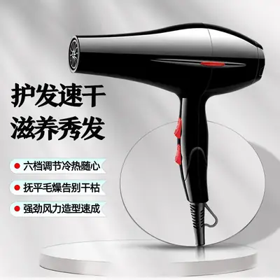 Hair Dryer with 6-Step Temperature Control
