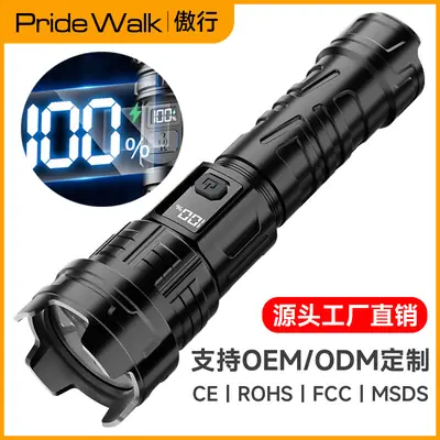 Portable Electric Flashlight with LED Beam & Carabiner Hook