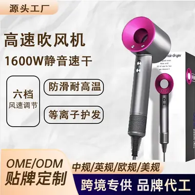European Hair Dryer 1600W Negative Ion Salon Grade