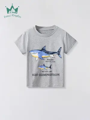 Gray Cotton T-Shirt for Boys Summer Wear