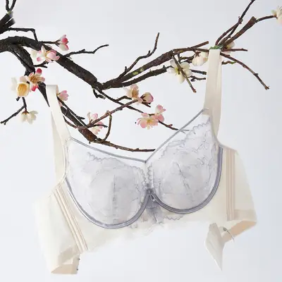 Sexy Lace Underwear Women Summer Adjustable Bra