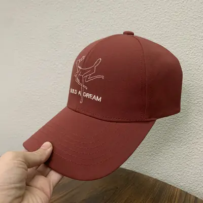 Boy's Star Graphic Baseball Cap Brown