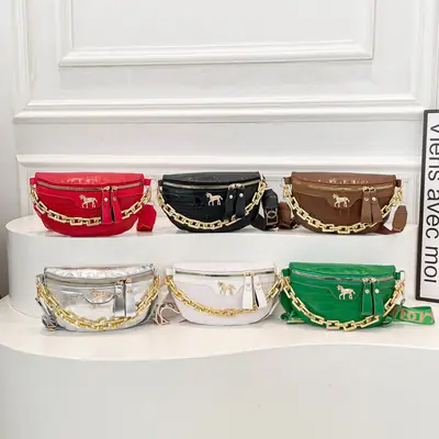 Underarm Bag 2025 Spring New Style Chain Shoulder Bag