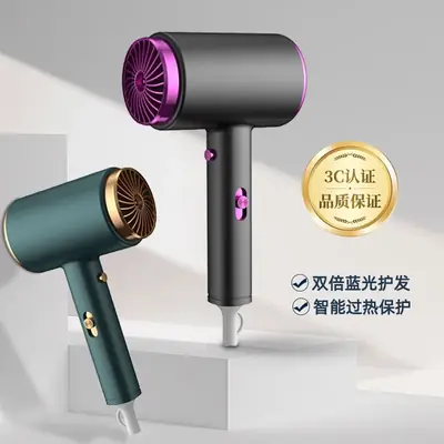 Electric Hair Dryer with Blue Light & Negative Ions, 120W