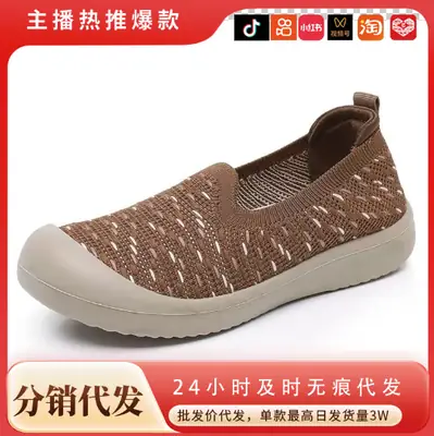 Women's Fly-Knit Slip-On Shoes Brown