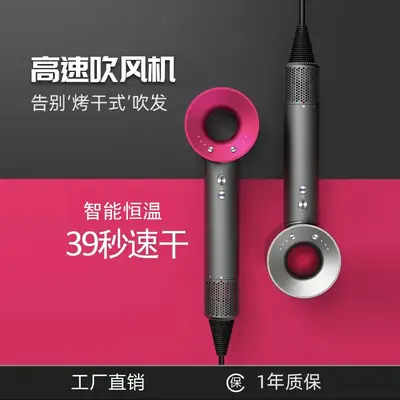 Professional Hair Dryer with Silent Design & Constant Temp