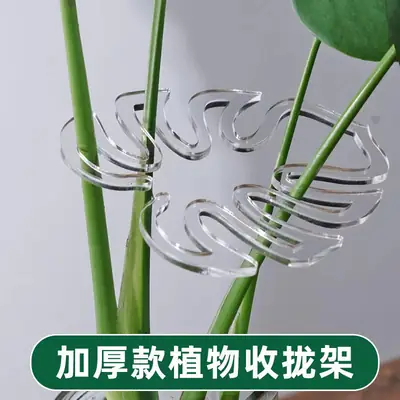 Bambusa Tortoise Support Rod Flower Support Rack Branch Stowed Rack Plant Anti-Lodging Support Green Plant Fixation Artifact Flower Rack