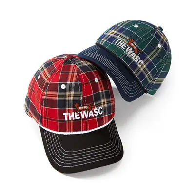 Vintage Plaid Dachshund Cap Men Women Street Fashion