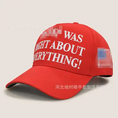 Red Baseball Cap with US Flag & "Was It About Something?" Text