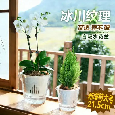 Glacier Pattern Transparent Lazy Self-Absorbing Flower Pot Water-Cultivating Plant Daffodils Water-Free Plastic Imitation Glass Flower Pot