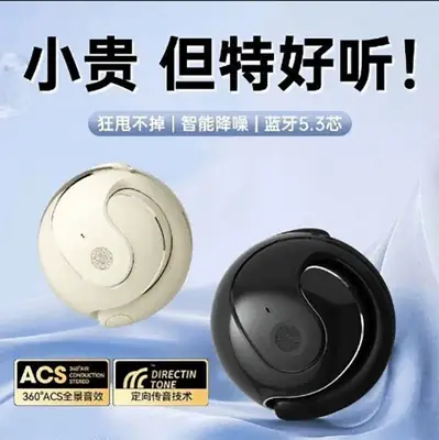 Wireless Bluetooth Earbuds with USB Charging & Coconut Design