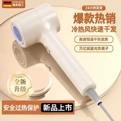 Hair Dryer 1600W 360 Wind Purple