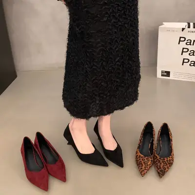 Elegant Shallow-Mouthed Stiletto Work Shoes for Women, French-Style Kitten Heel Pointed-Toe Single Shoes, Women's 2026 Autumn New High-Heeled Shoes