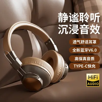 Wireless Bluetooth Headphones with Large Earmuffs & Noise Reduction