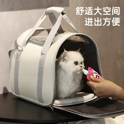 Portable Cat & Dog Outing Bag with Breathable Design