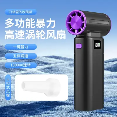 High-Speed Turbo Hair Dryer with Dust Collector