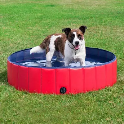 Foldable Pet Bathtub Blue Waterproof Mobile Pool